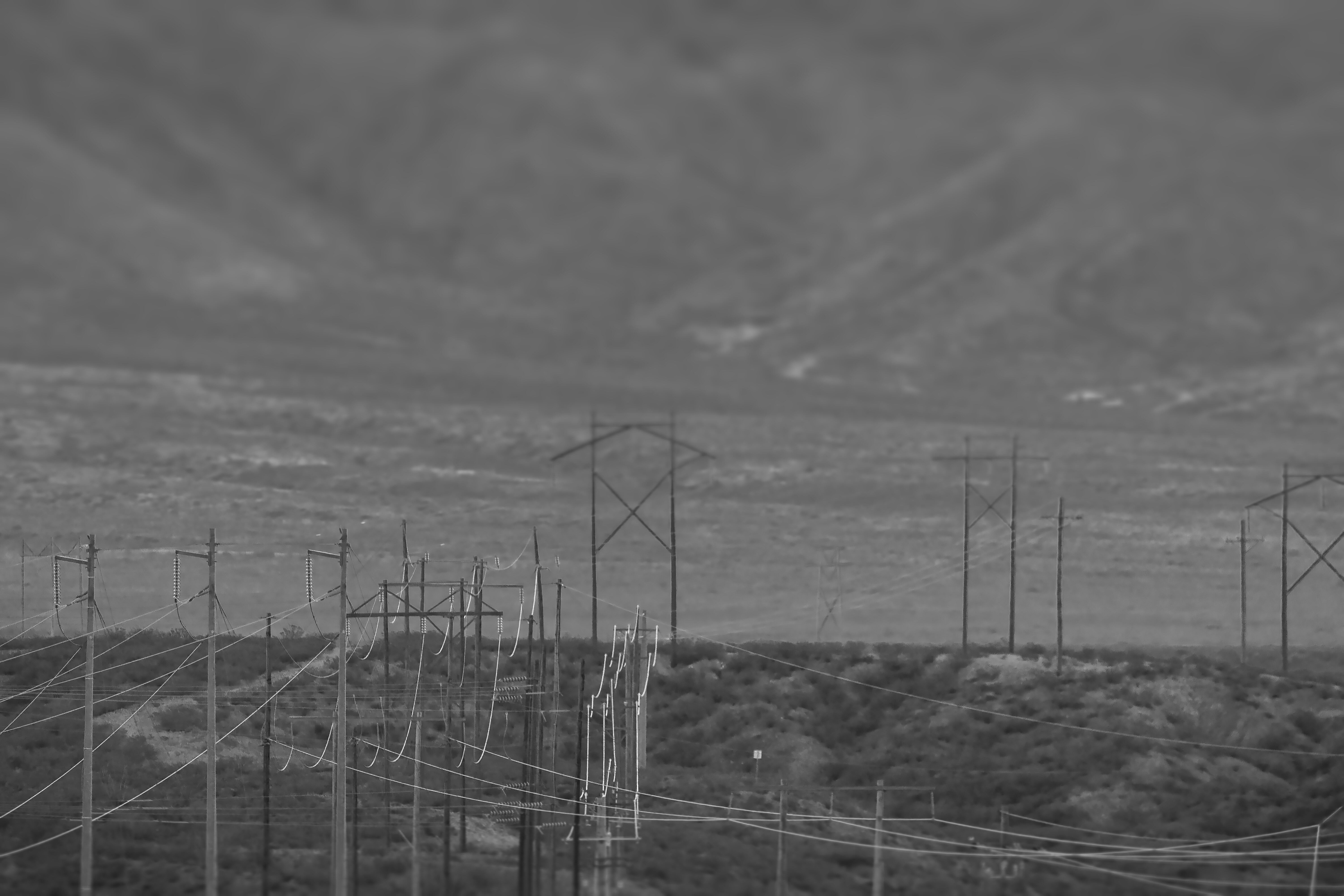 A black and white photo of power lines in the desert.