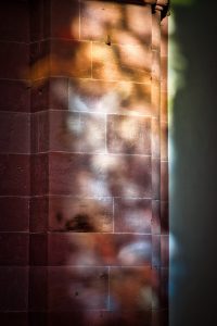 Sunlight filters through leaves, casting colorful light and shadow patterns on a textured stone wall with a visible corner and mortar lines.