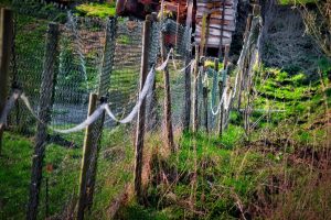 A wire and mesh fence runs along uneven grassy terrain, secured by wooden posts, with a pile of stacked wooden boards in the background.