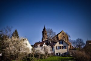 A small village with white-blossomed trees, houses, and a large stone church under a clear blue sky.