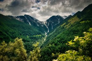 Valley covered in dense green forest with snow-capped mountain peaks in the background under a cloudy sky.