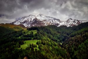 Snow-capped mountain under cloudy sky with dense green forest and grassy fields in the foreground.