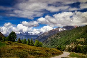 Winding road through green hills and trees with snow-capped mountains and a partly cloudy sky in the background.